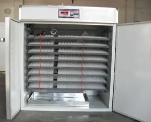 Advanced Automatic Incubators 2112