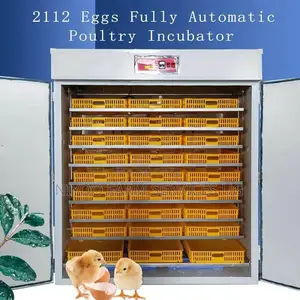 Advanced Automatic Incubators 2112