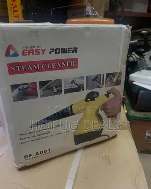 Df Handheld Steam Cleaner
