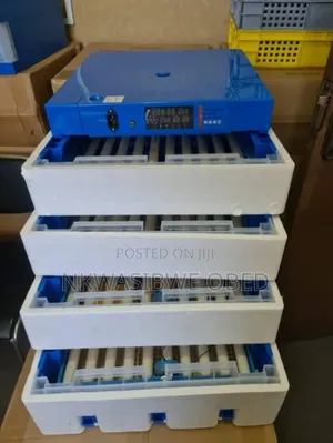 Automatic Egg Incubator