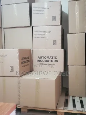 Automatic Egg Incubator