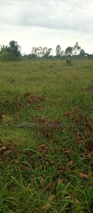 25 Acres of Land in Kakuto Luwero 10km From Luwero Kasana Town to Land