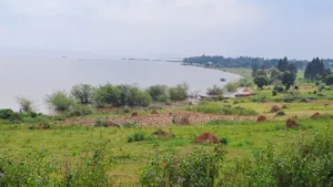 35 Acres of Land in Katosi Lulagwe Touching on Lake Shores of Victoria