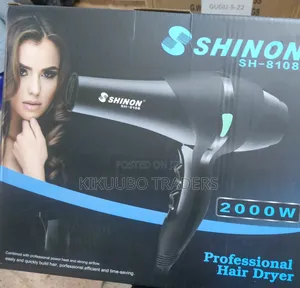 Shinon Professional Hair Dryer