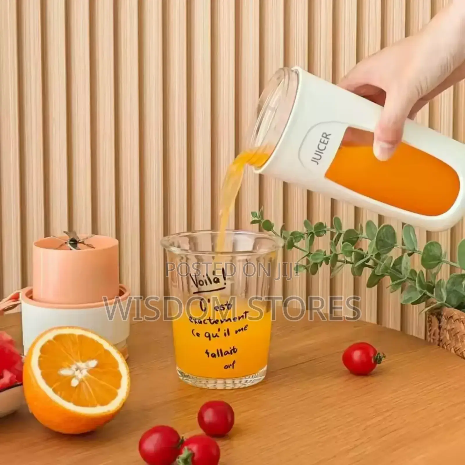 Portable Fruit Juicer