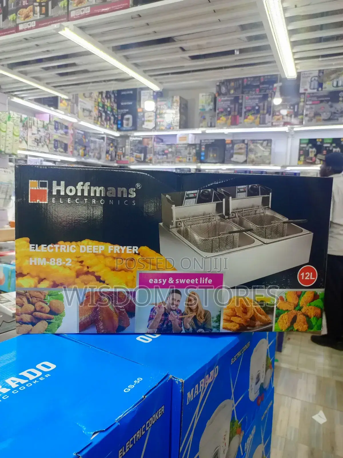 Electric Deep Fryer 12l