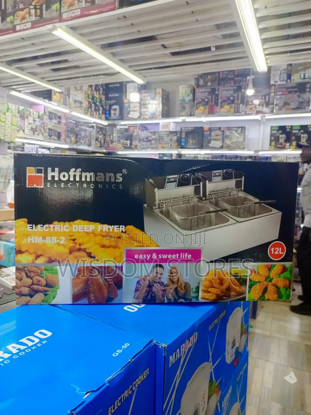 Electric Deep Fryer 12l