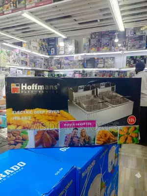 Electric Deep Fryer 12l