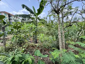 50 Decimals of Private Mailo Land for Sale – Kiwatule, Valley Road
