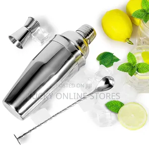 Stainless Steel Cocktail Shaker Set