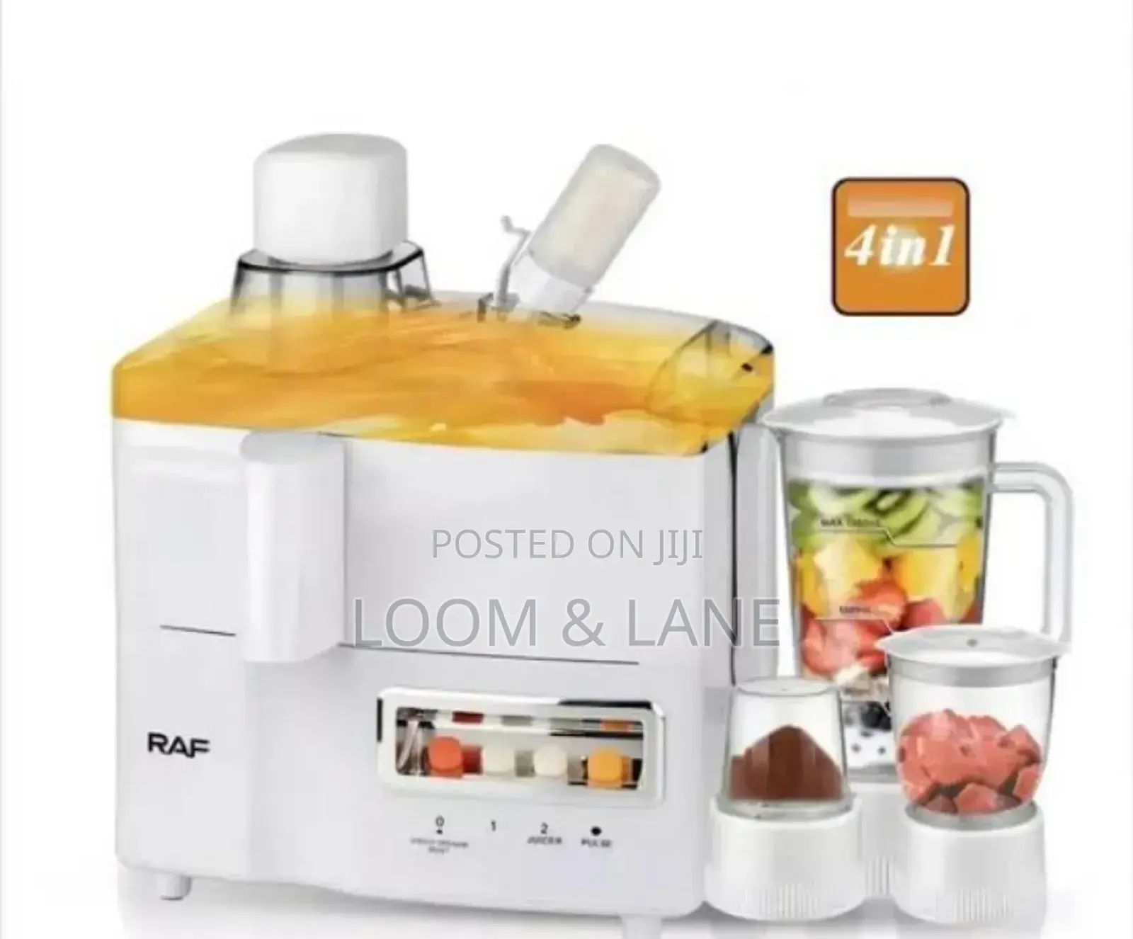 Raf 4-in-1 Juicer