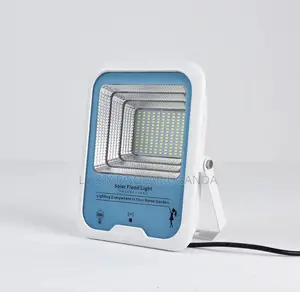 100w Flood Light
