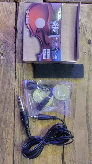 Guitar Pick Up
