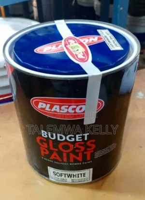 Plascon Paint