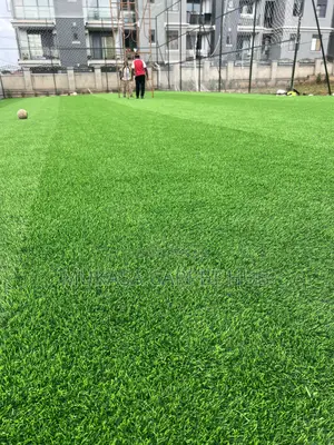Realistic Green Turf Carpet Available