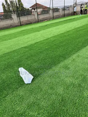 Luxury Artificial Grass for Indoor Outdoor