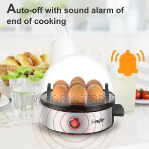 Stainless Steel Automatic Electric Egg Boiler Steamer