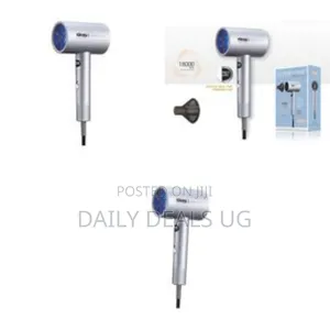 DSP Portable Hair Dryer Nanoe Water Ion Hair Care Professional Quick