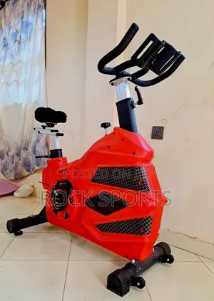 Gym Bike (Heavy Duty)