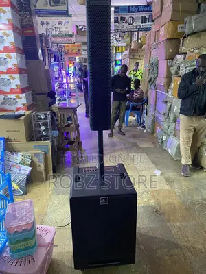 Star X Professional Speaker
