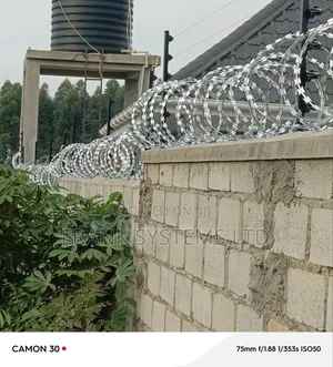 Electronic Fencing Control With Alarm