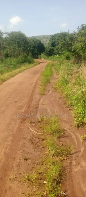 10 Acres on Sale in Kikyuusa Wabusaana Kankoole Village 9km From
