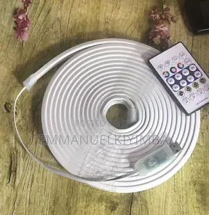 Neon Led Light