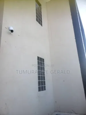 Ip Cameras