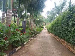 Landscaping / Gardening