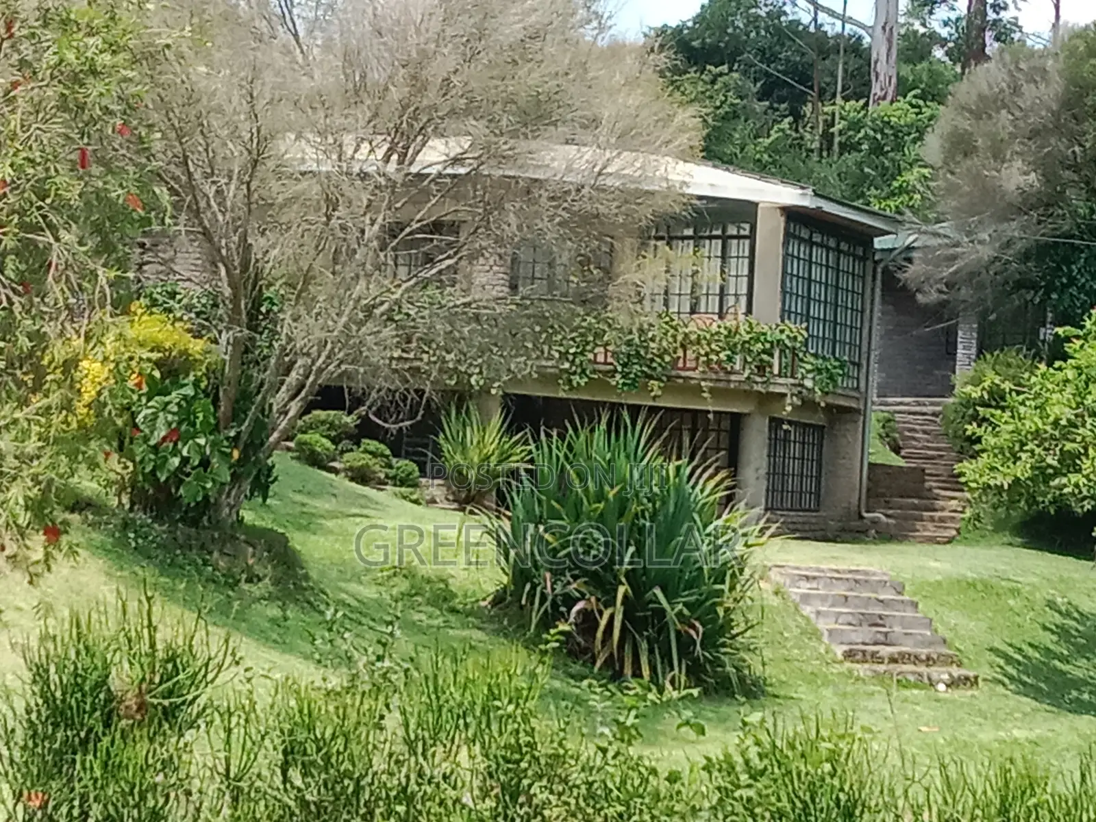 Landscaping / Gardening