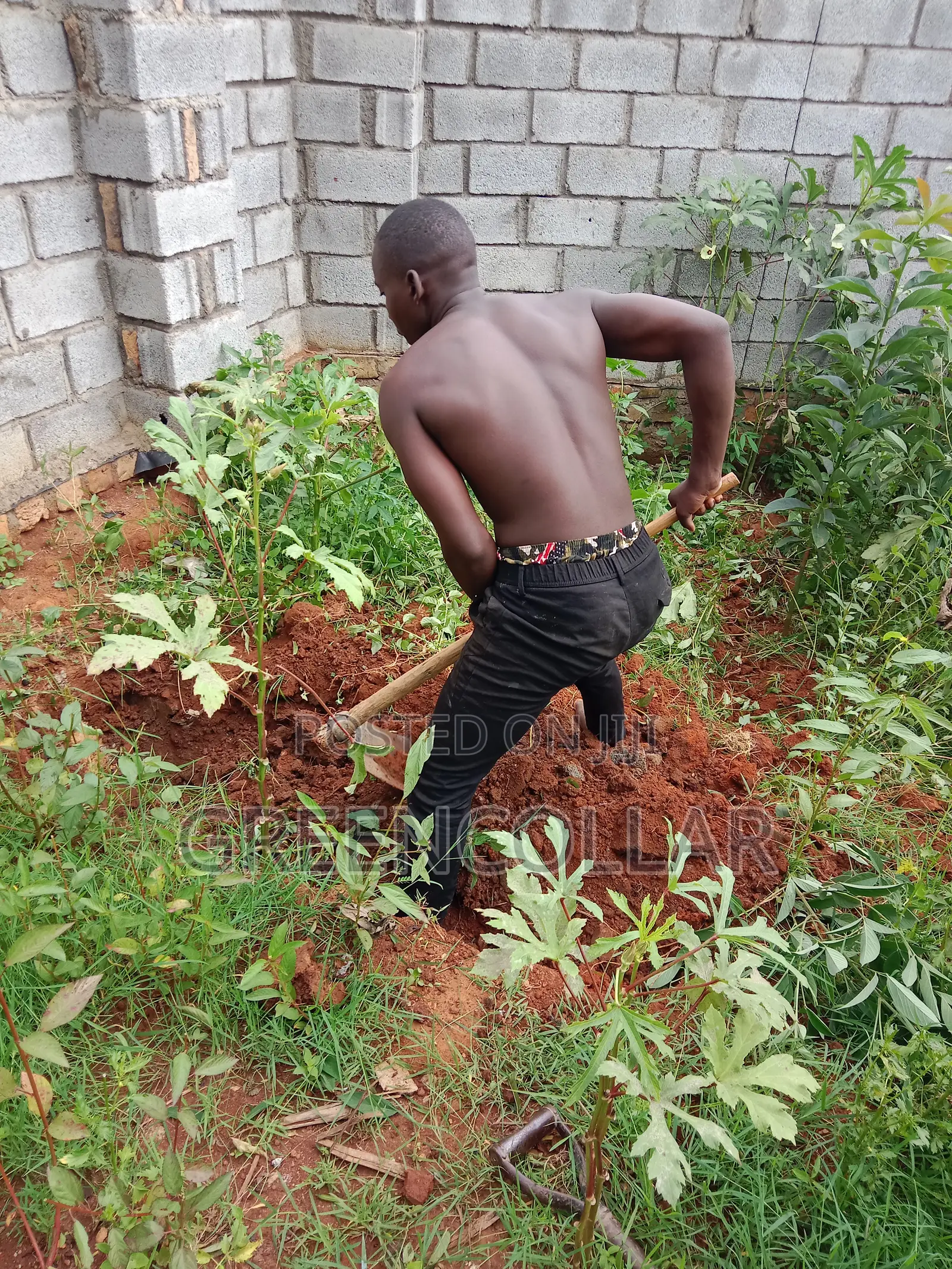 Landscaping / Gardening