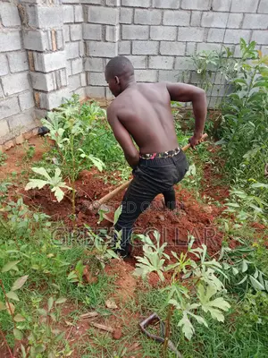 Landscaping / Gardening
