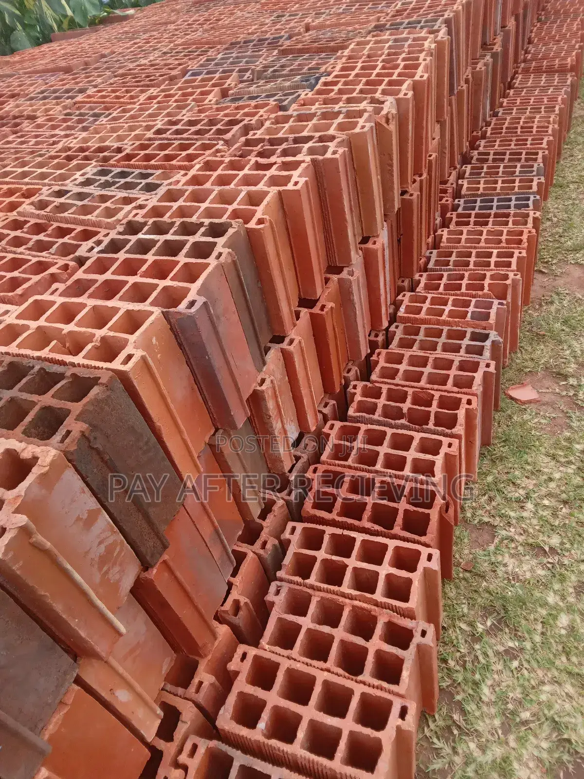 Clays Max Pans