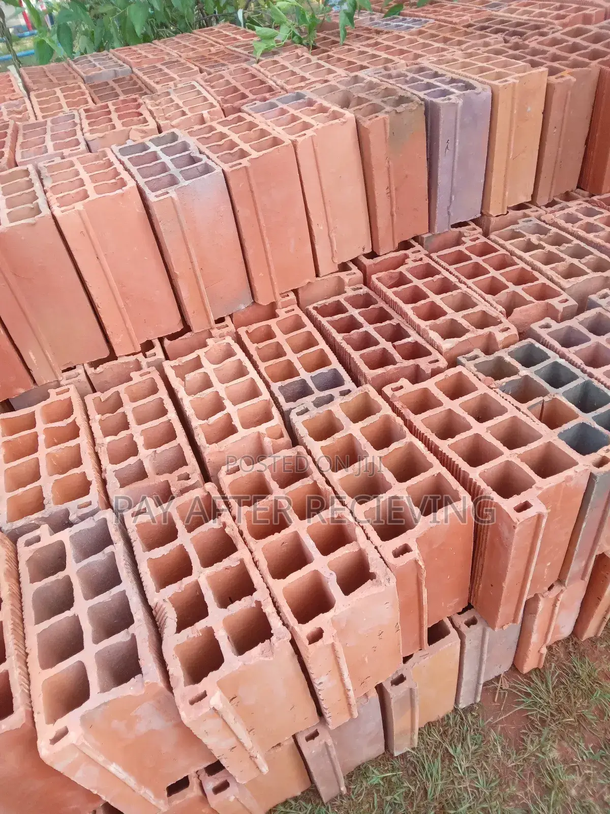 Clays Max Pans