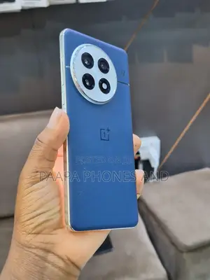 OnePlus 13 512 GB Blue