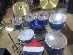 Professional Drum Set