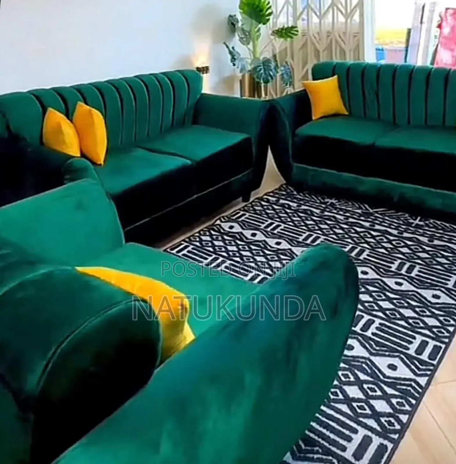 Coach in Forest Green