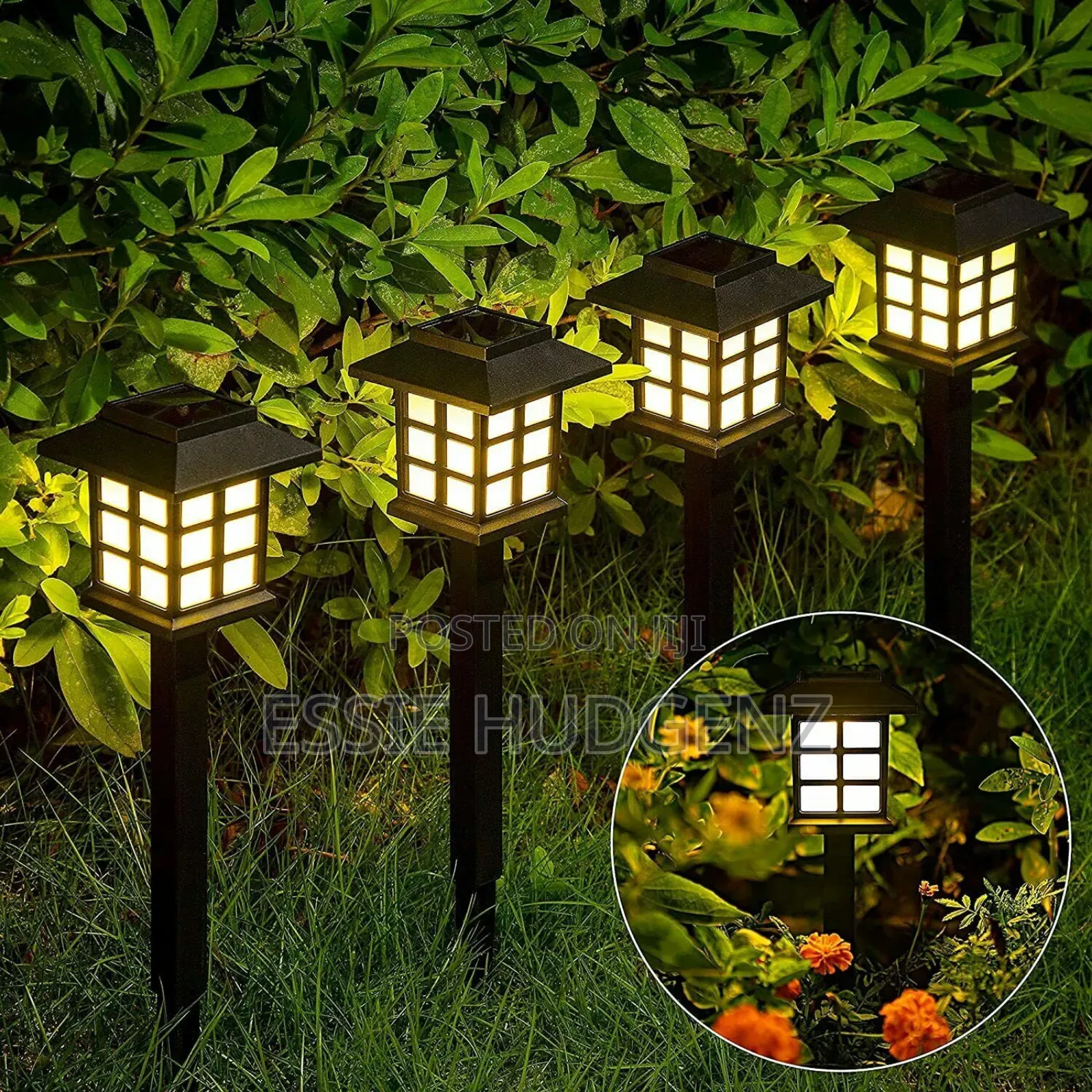 Pathway Solar Lights