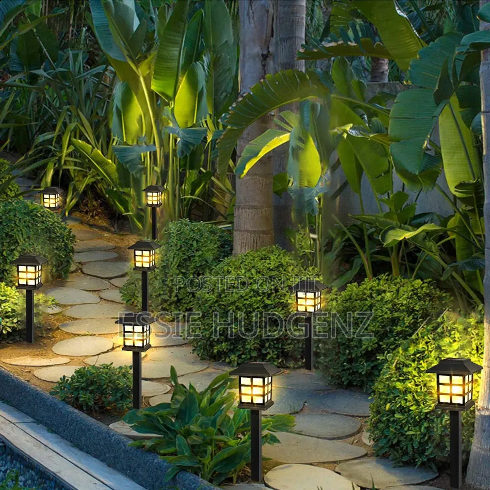 Pathway Solar Lights