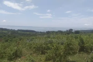 Lake View Private Mailo Land, 100ft by 100ft
