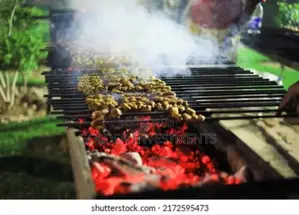 BBQ Grill Snacks