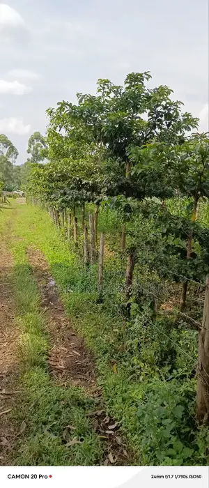 10 Acres of Freehold Titled Land for Sale in Fort Portal City.