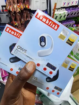 Wireless Bluetooth Earphones