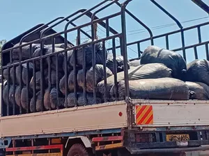 Silage Are Available