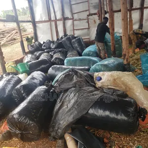 Silage Are Available