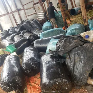Silage Are Available