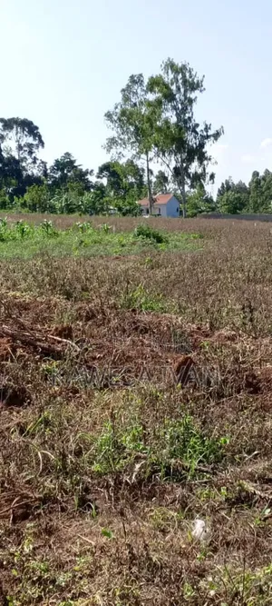 Plots Plots on Sale 50*100 Feet Buwaya Kasanje Near Road