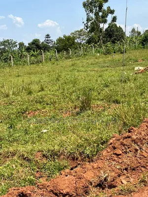 52 Decimals of Land in Gayaza Behind the Town