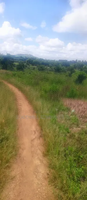 8 Acres of Land on Buwama Near Masaka Highway