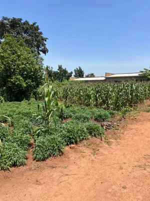 11 Decimals of Land Kijabijjo Near Town
